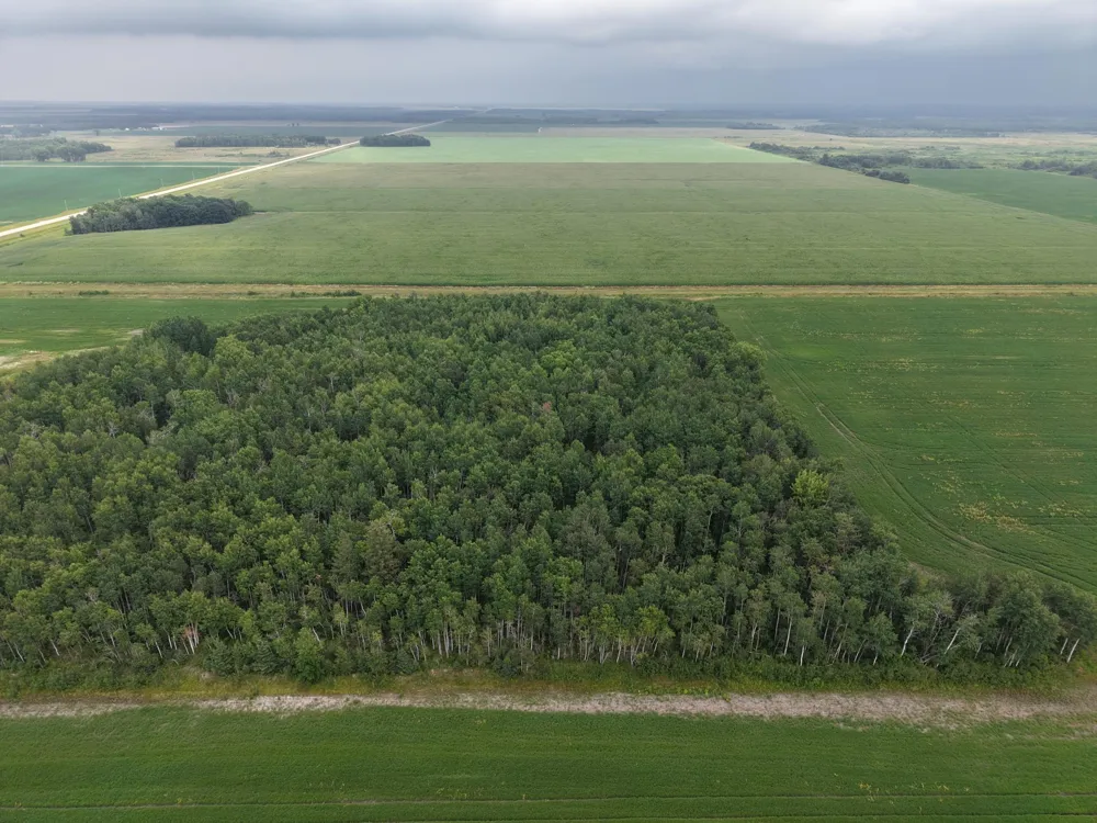 TBD 340th Avenue NE Goodridge, MN 56725