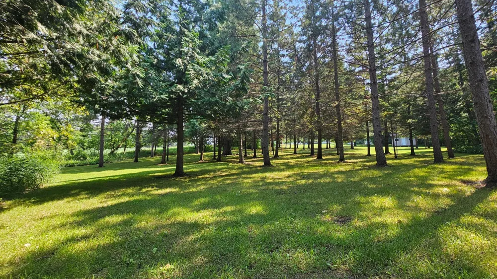 460 Ash Street Gonvick, MN 56644
