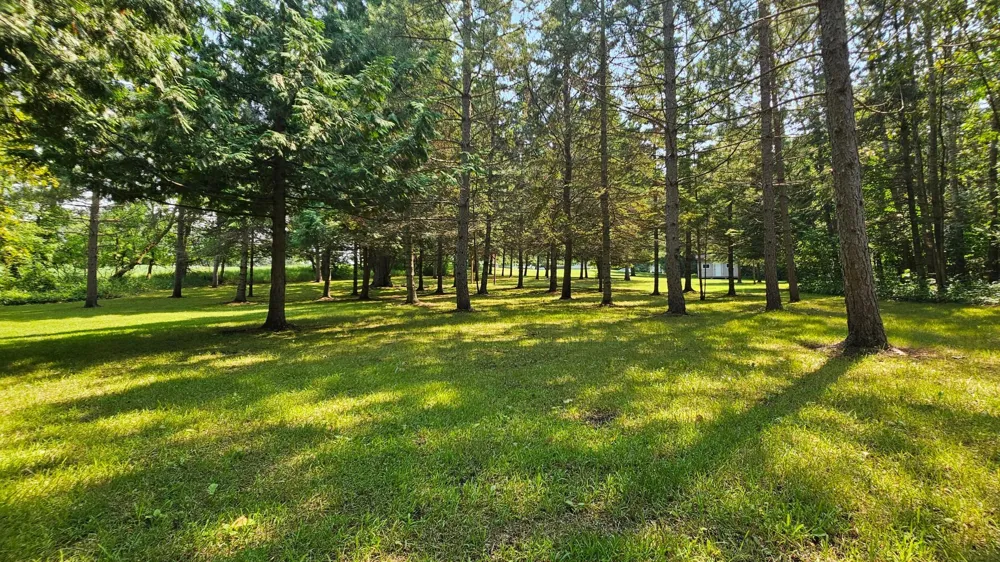460 Ash Street Gonvick, MN 56644