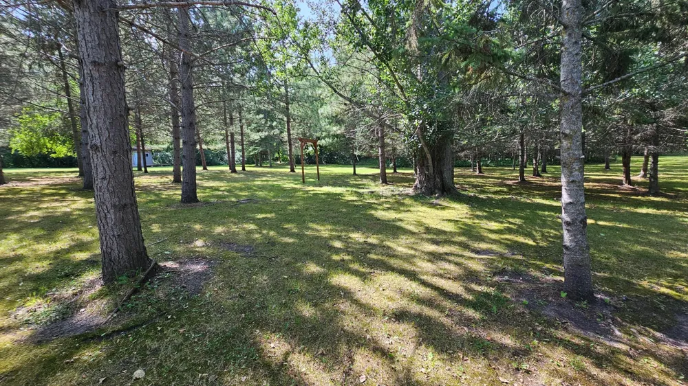 460 Ash Street Gonvick, MN 56644