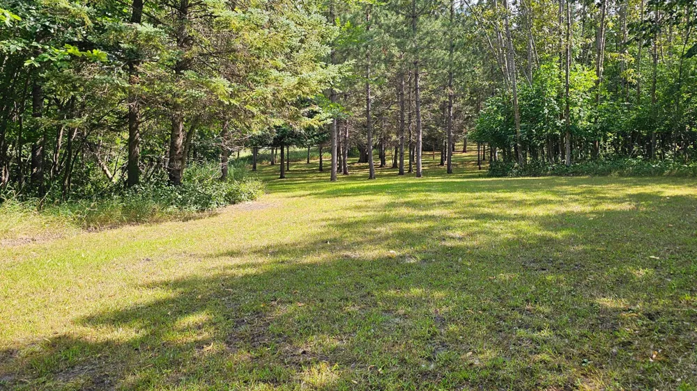 460 Ash Street Gonvick, MN 56644