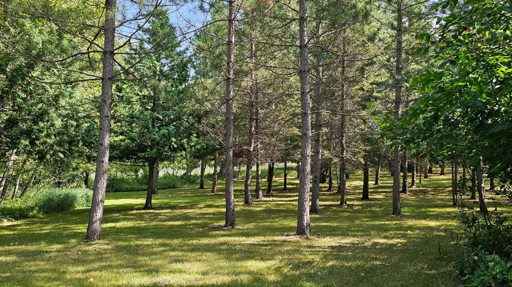 460 Ash Street Gonvick, MN 56644