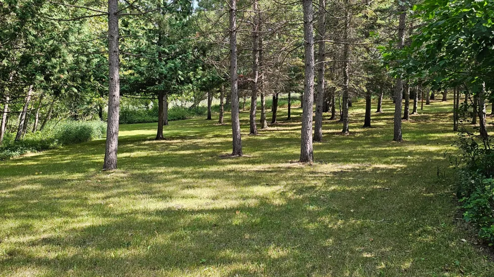 460 Ash Street Gonvick, MN 56644