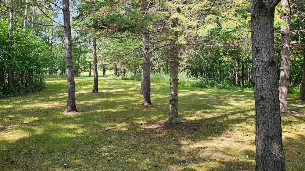 460 Ash Street Gonvick, MN 56644