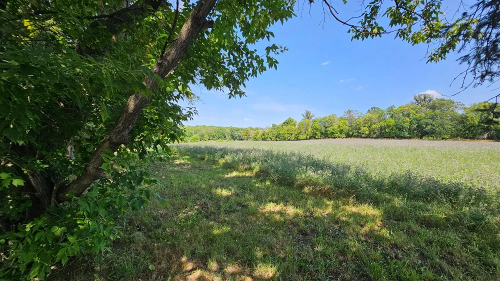 460 Ash Street Gonvick, MN 56644