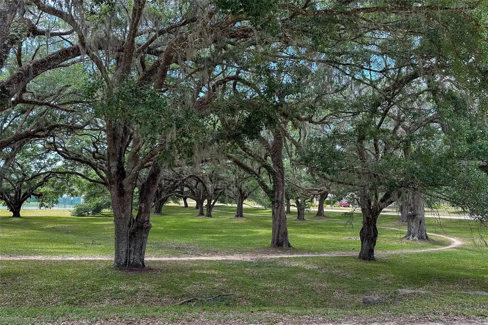 13163 SW 106TH PLACE Dunnellon, FL 34432