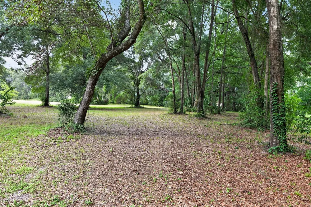 18741 US HIGHWAY 301 Citra, FL 32113