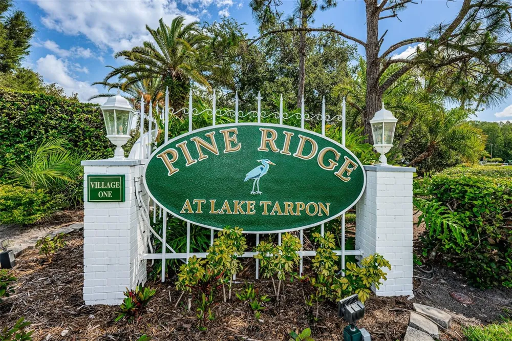 1151 PINE RIDGE CIRCLE W #F1 Tarpon Springs, FL 34688