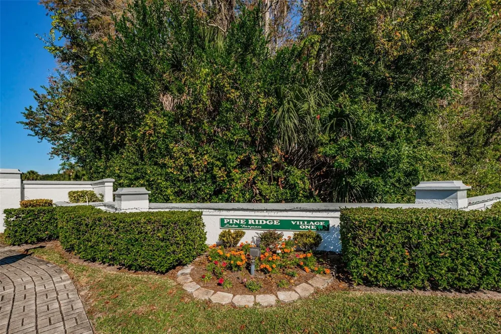 1151 PINE RIDGE CIRCLE W #F1 Tarpon Springs, FL 34688