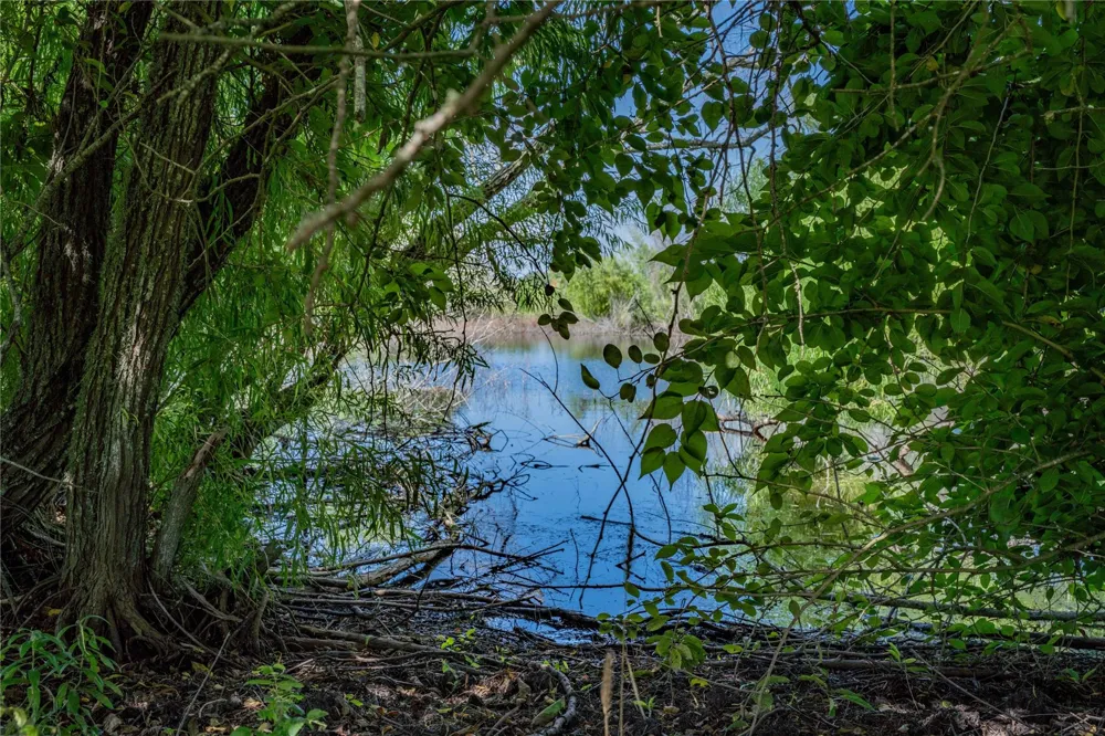 4038 Farek Loth Road Schulenburg, TX 78956