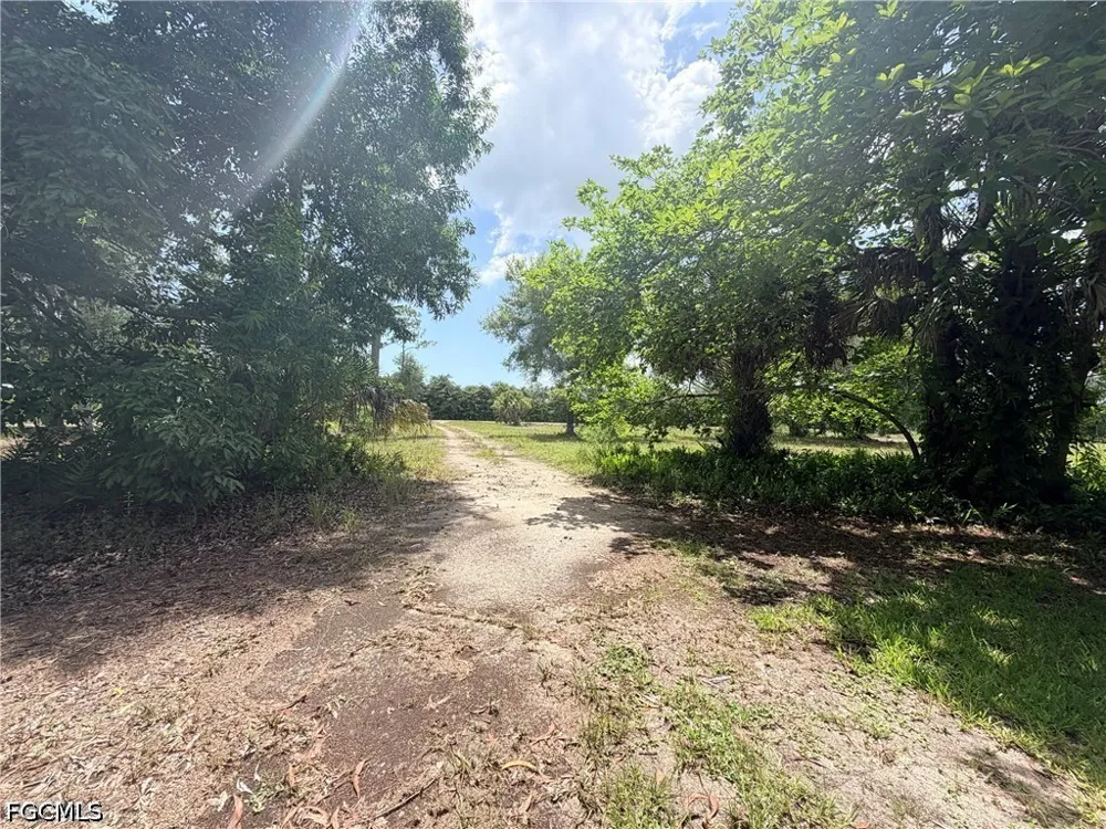Sophomore Lane Fort Myers, FL 33912