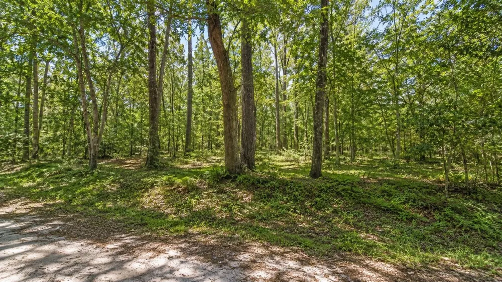 1401 SE 41ST AVENUE Gainesville, FL 32641