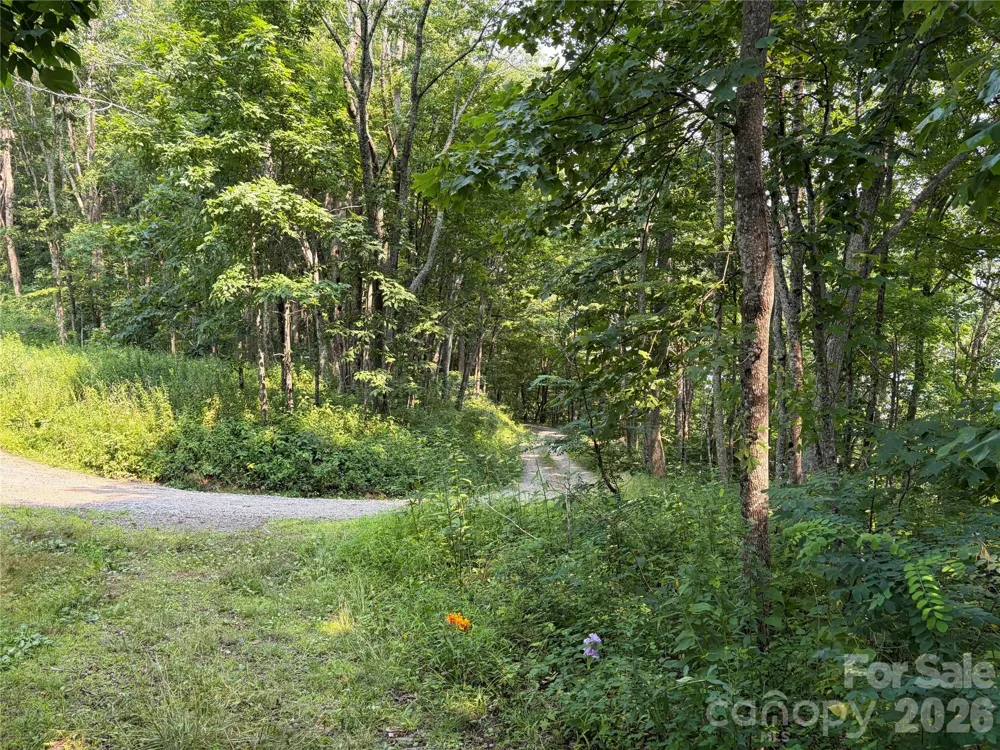000 Catbrier Lane Burnsville, NC 28714