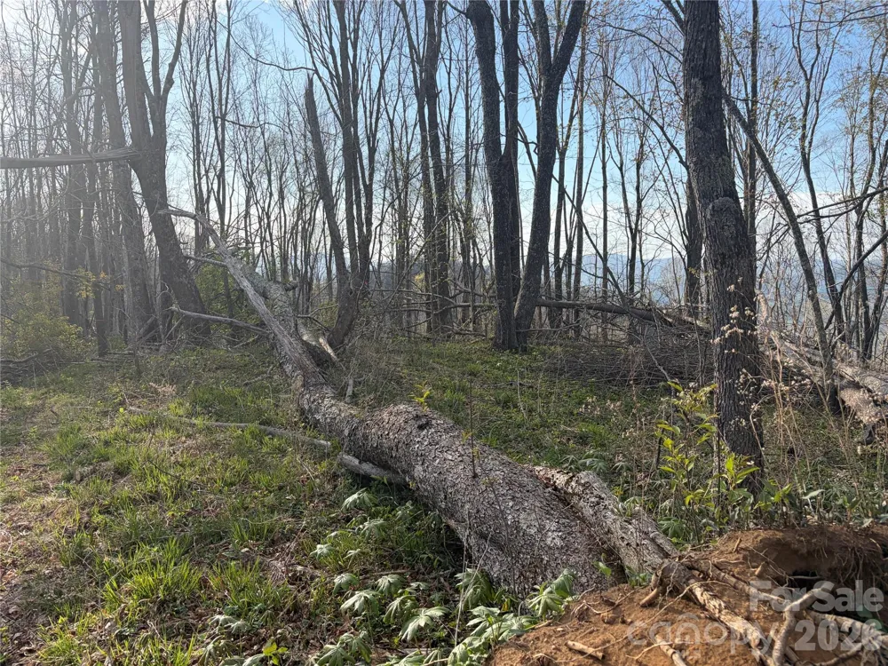 000 Catbrier Lane Burnsville, NC 28714