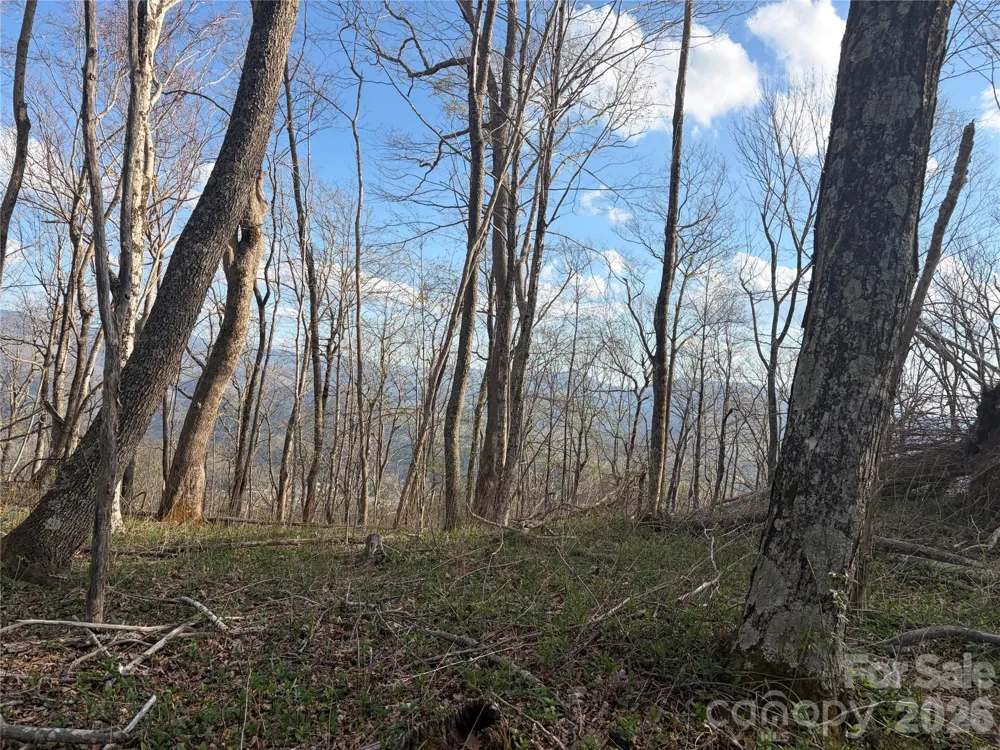 000 Catbrier Lane Burnsville, NC 28714