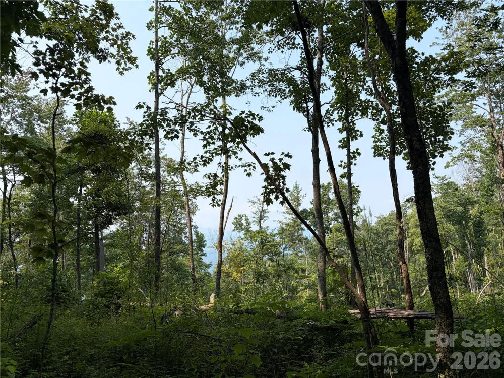 000 Catbrier Lane Burnsville, NC 28714