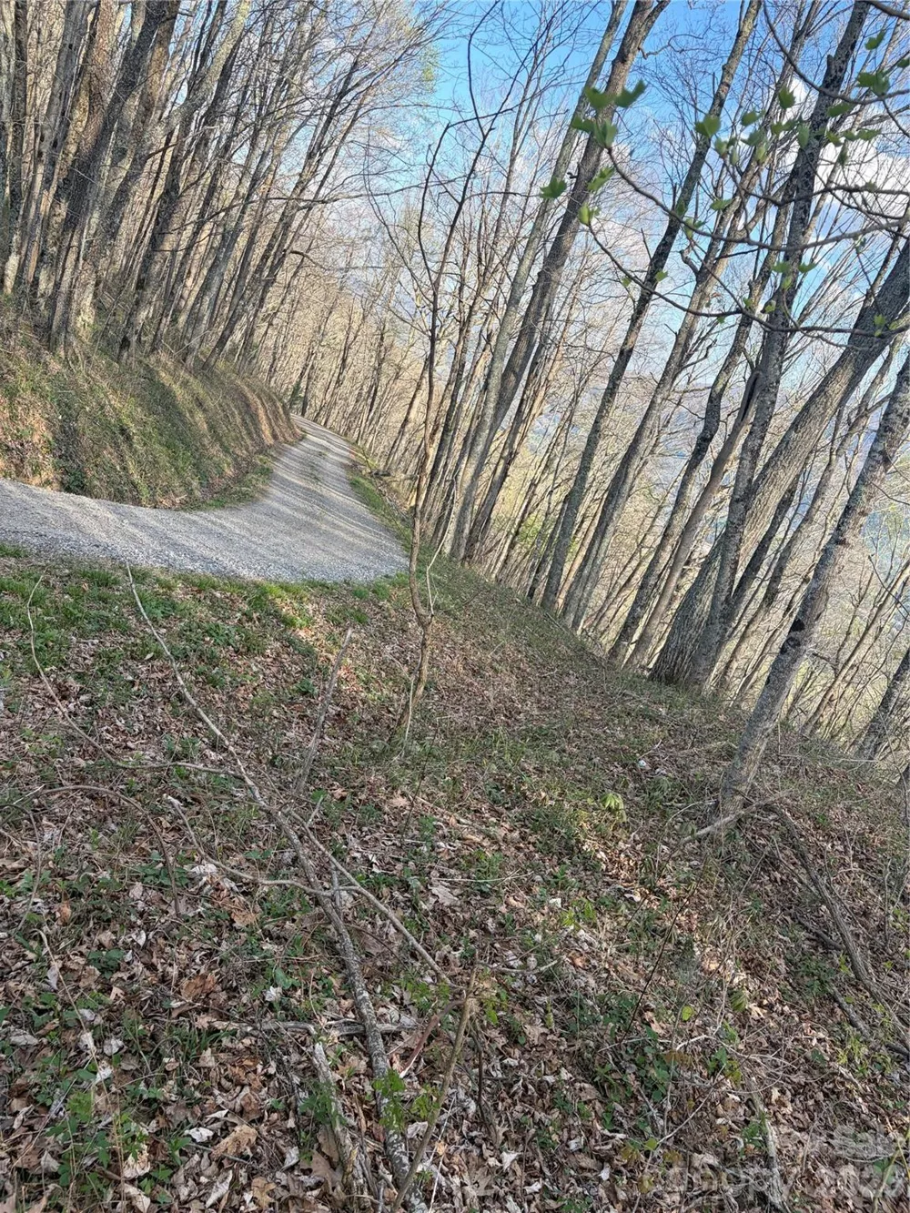 000 Catbrier Lane Burnsville, NC 28714