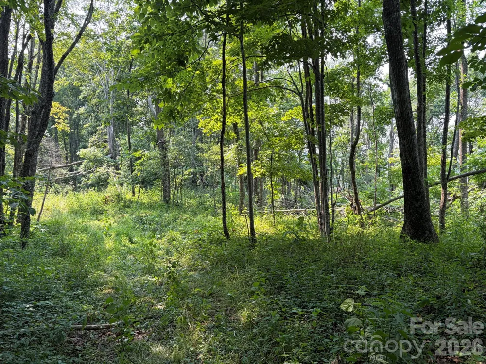 000 Catbrier Lane Burnsville, NC 28714