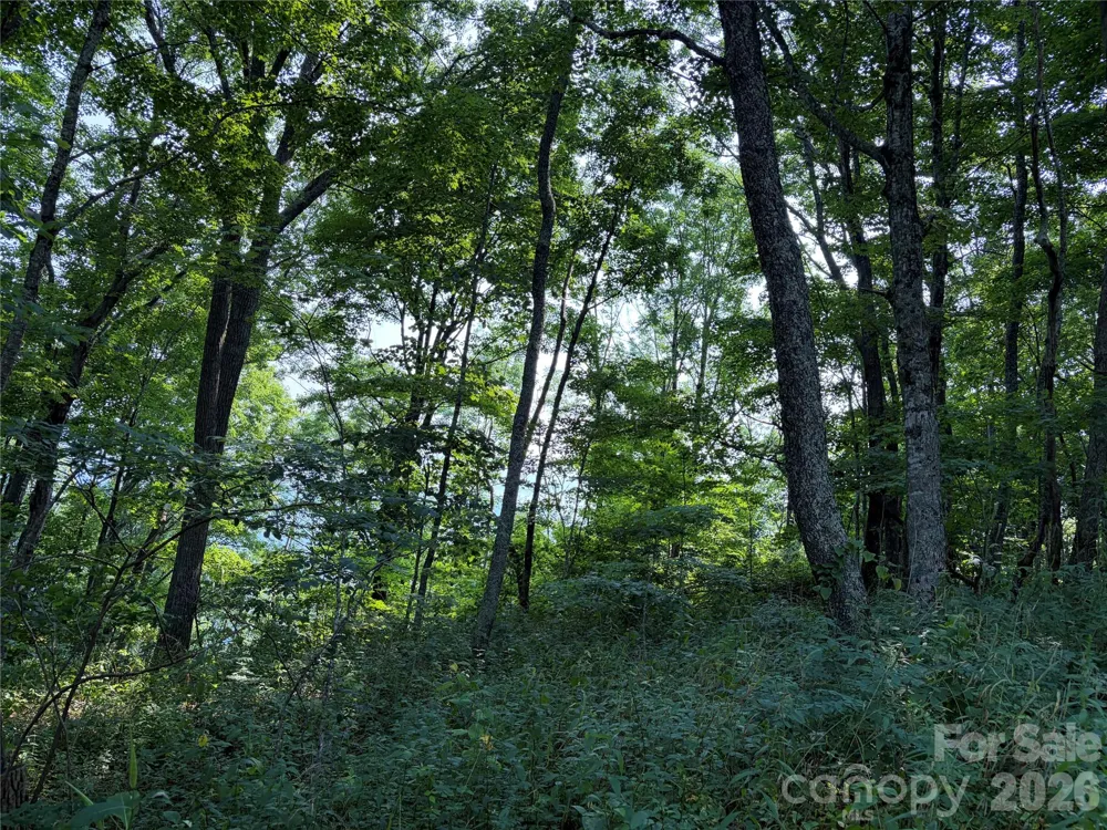 000 Catbrier Lane Burnsville, NC 28714