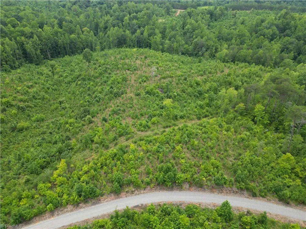 00 Jennifer Drive Reidsville, NC 27320