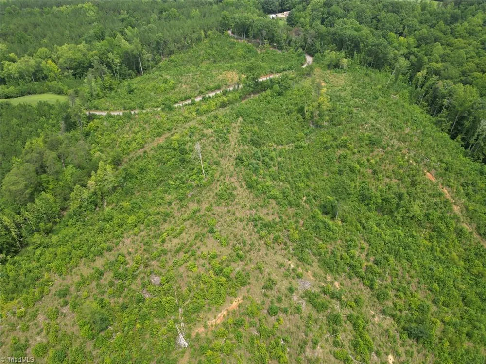 00 Jennifer Drive Reidsville, NC 27320