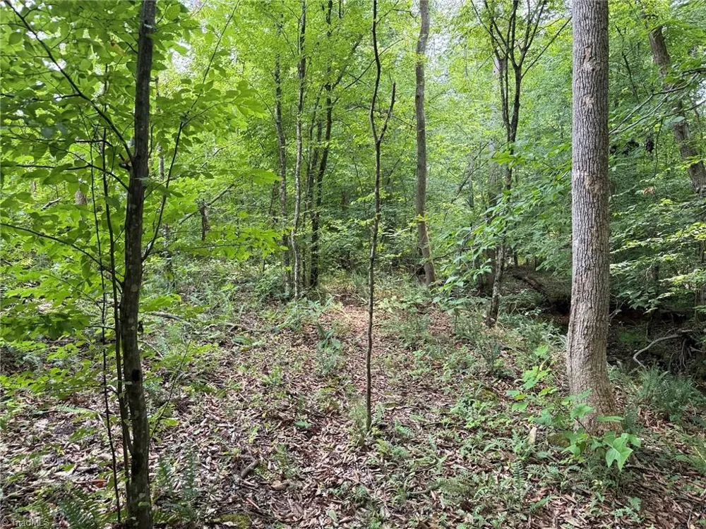 00 Jennifer Drive Reidsville, NC 27320