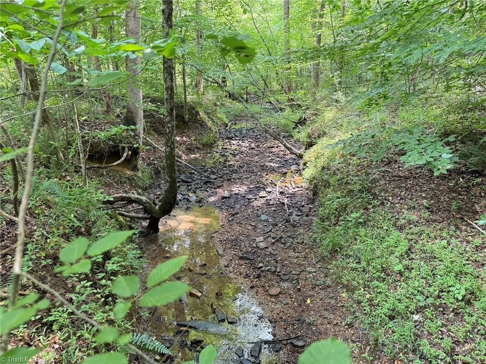 00 Jennifer Drive Reidsville, NC 27320