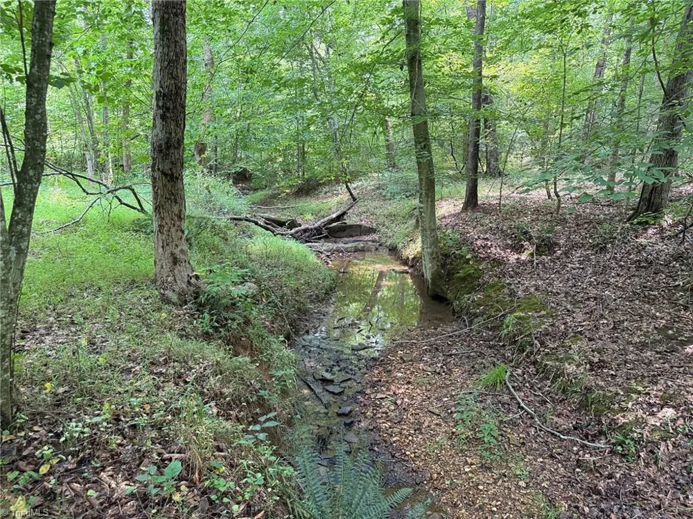 00 Jennifer Drive Reidsville, NC 27320