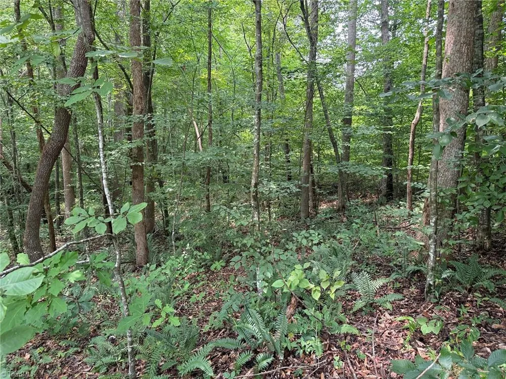 00 Jennifer Drive Reidsville, NC 27320