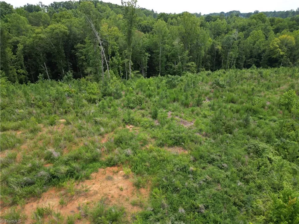 00 Jennifer Drive Reidsville, NC 27320