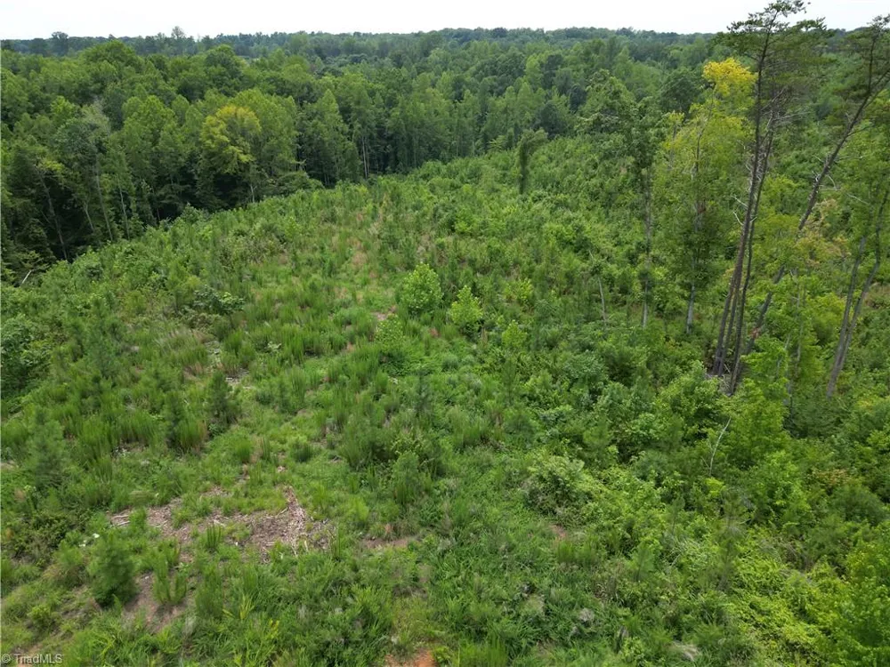 00 Jennifer Drive Reidsville, NC 27320