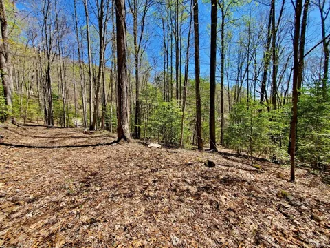 Hemlock Falls drive