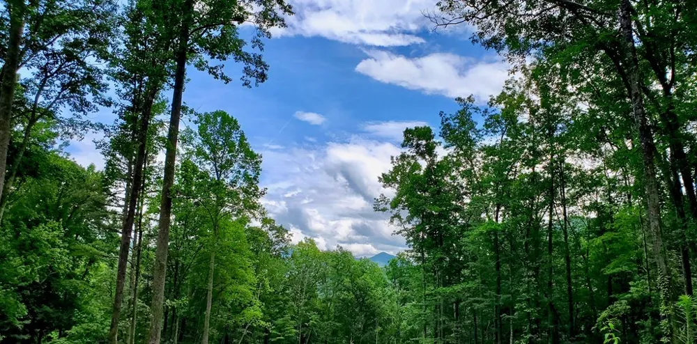 Hemlock Falls drive Sylva, NC 28779