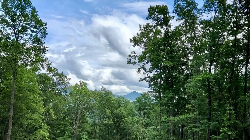 Hemlock Falls drive Sylva, NC 28779
