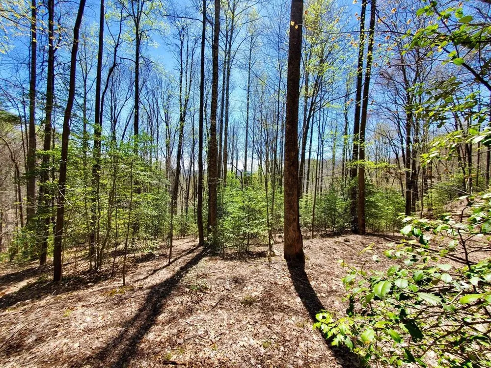 Hemlock Falls drive Sylva, NC 28779