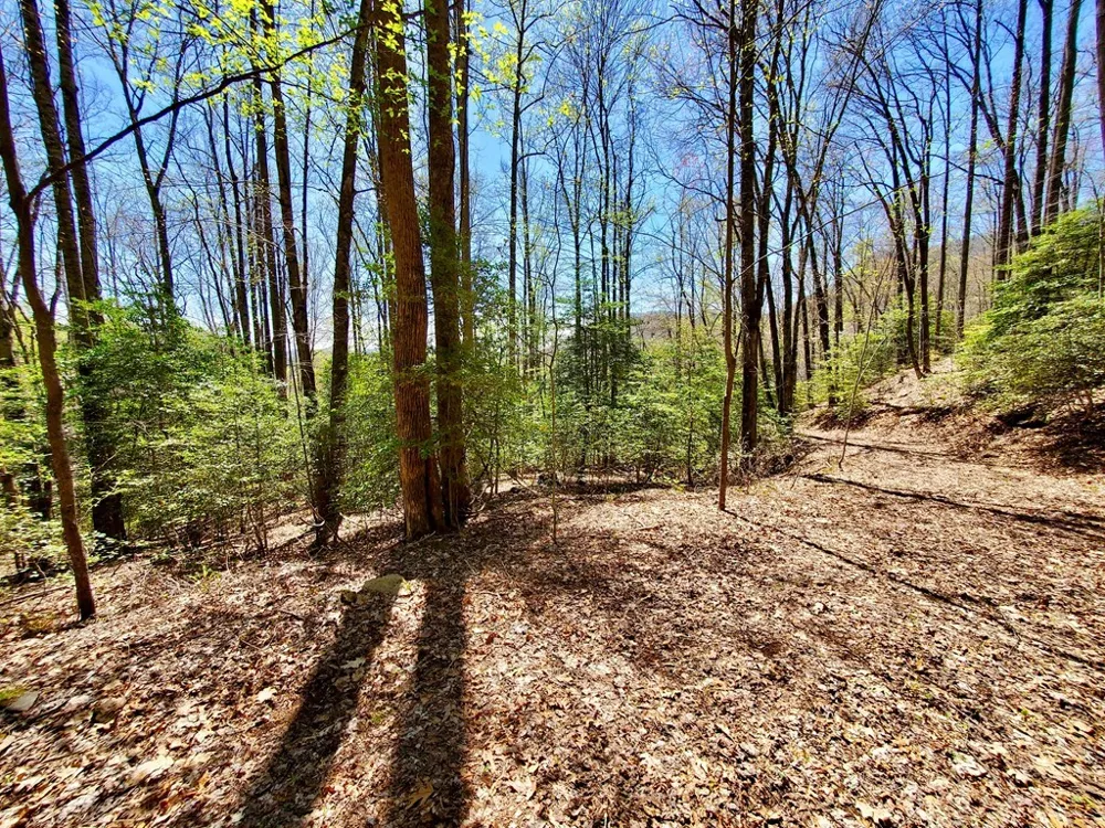 Hemlock Falls drive Sylva, NC 28779