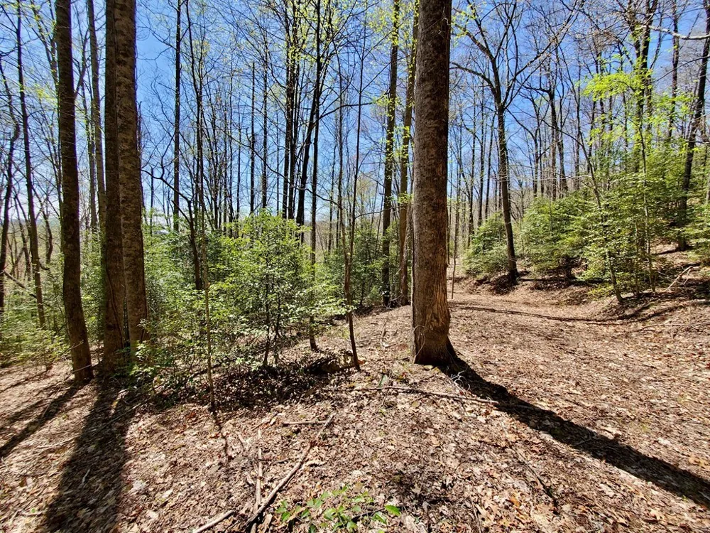 Hemlock Falls drive Sylva, NC 28779