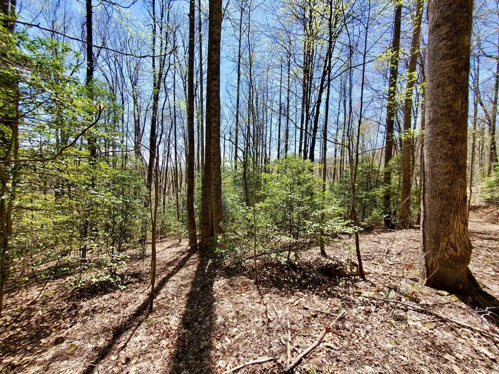 Hemlock Falls drive Sylva, NC 28779