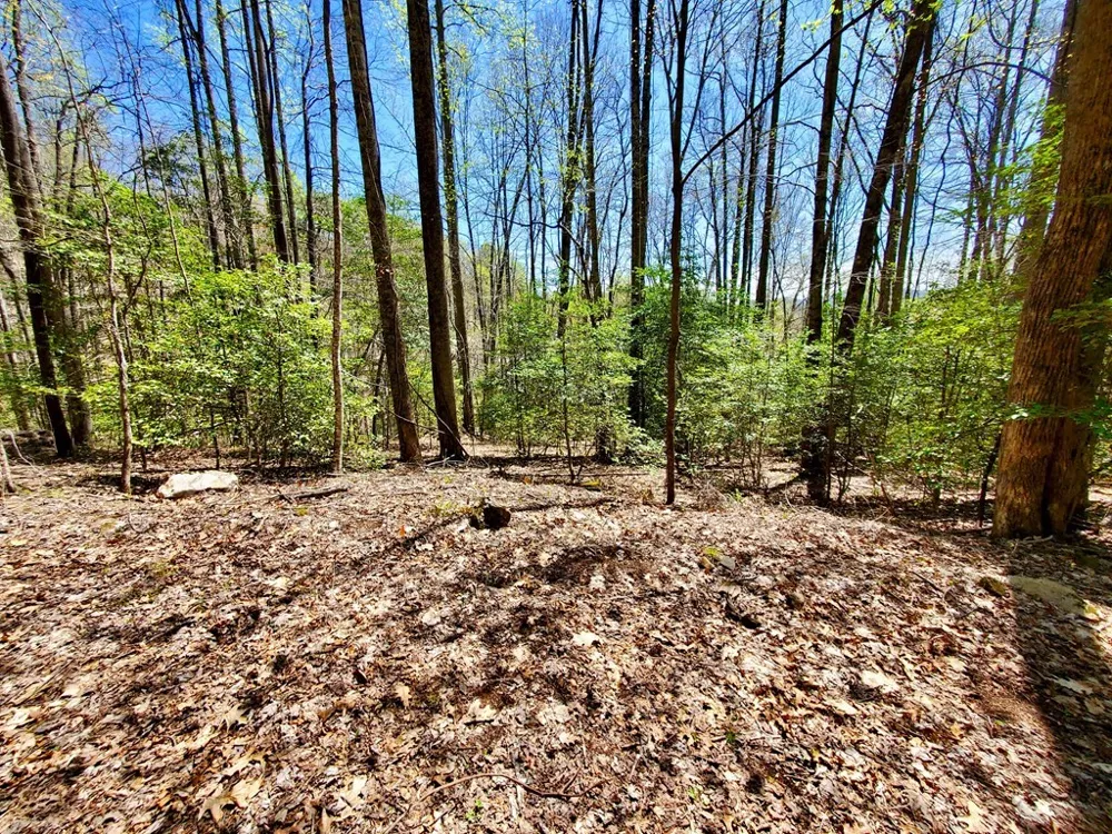 Hemlock Falls drive Sylva, NC 28779