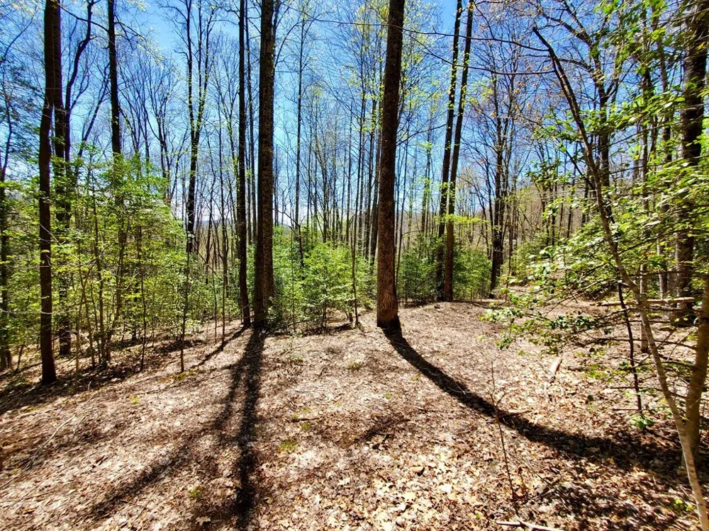 Hemlock Falls drive Sylva, NC 28779