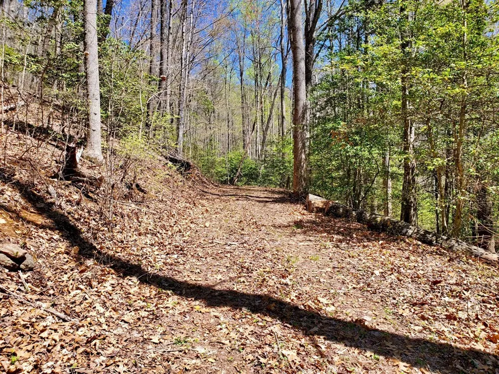 Hemlock Falls drive Sylva, NC 28779