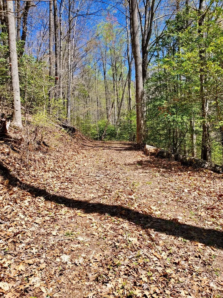 Hemlock Falls drive Sylva, NC 28779