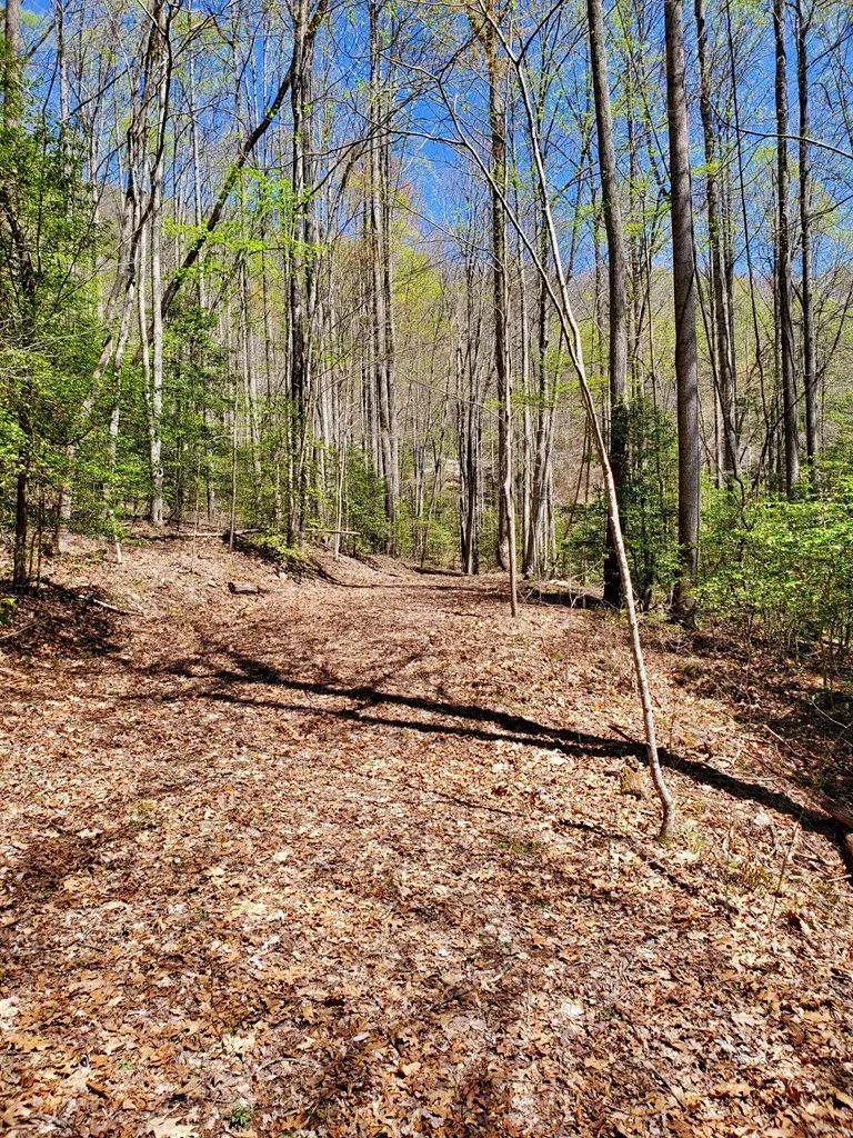 Hemlock Falls drive Sylva, NC 28779