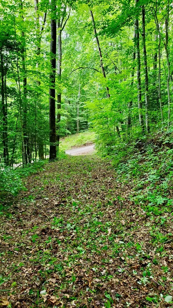 Hemlock Falls drive Sylva, NC 28779