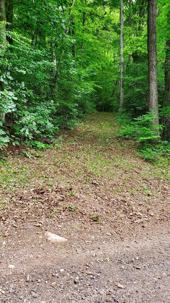 Hemlock Falls drive Sylva, NC 28779