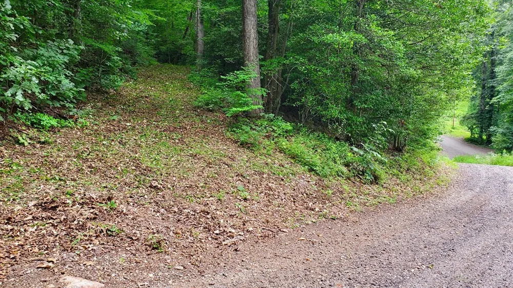 Hemlock Falls drive Sylva, NC 28779