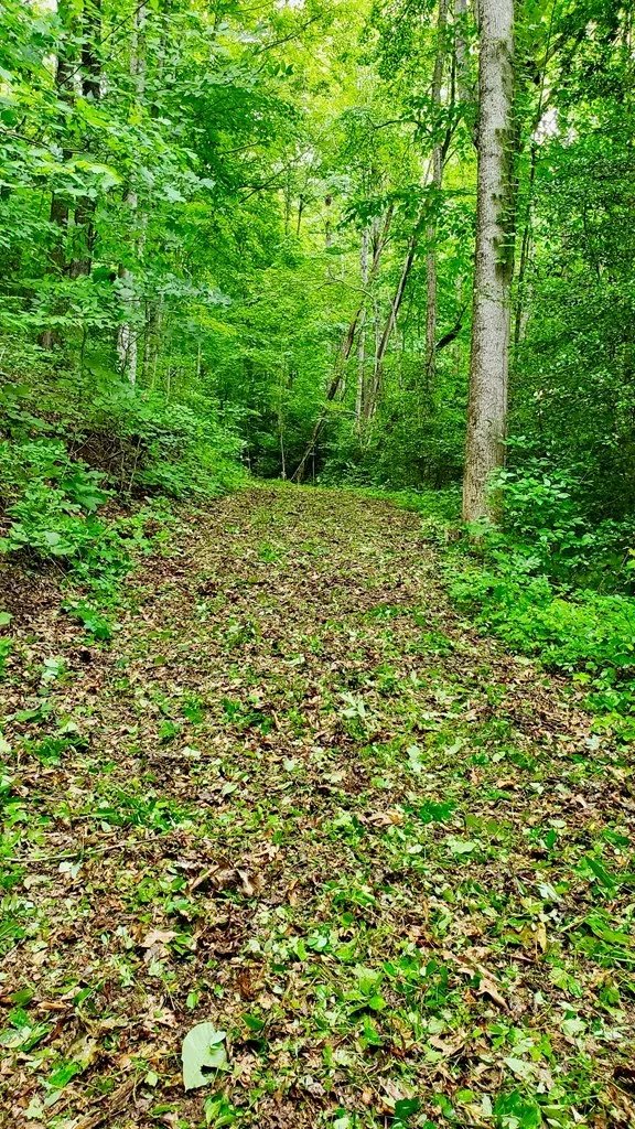 Hemlock Falls drive Sylva, NC 28779