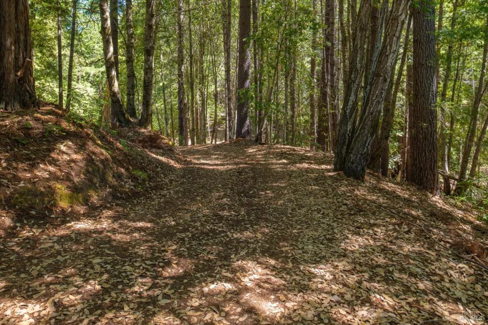 33790 Annapolis Road Annapolis, CA 95412
