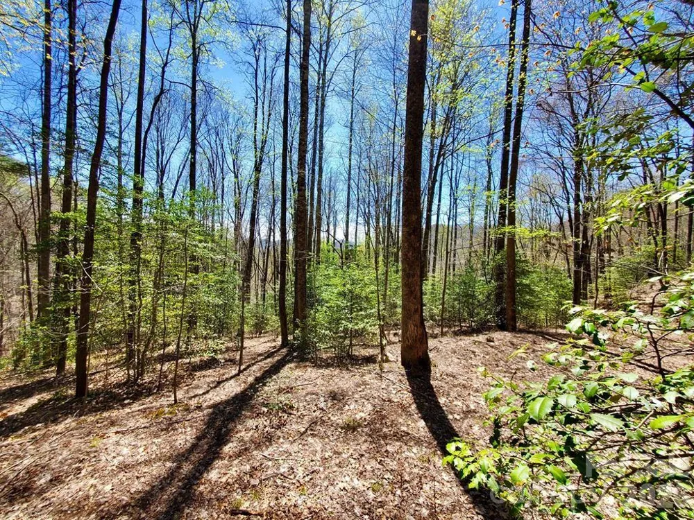 Lot 9 Hemlock Falls Drive #9 Sylva, NC 28779