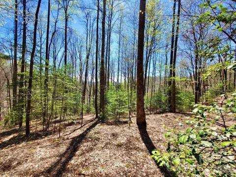 Lot 9 Hemlock Falls Drive #9